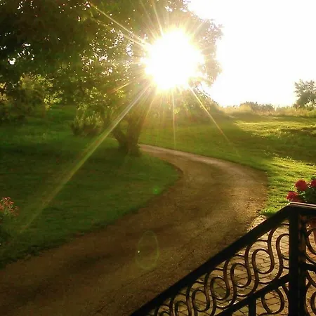 Angela E Giovanni * Vižinada