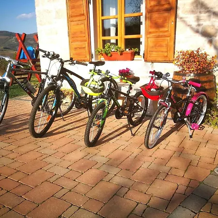 Angela E Giovanni Vižinada